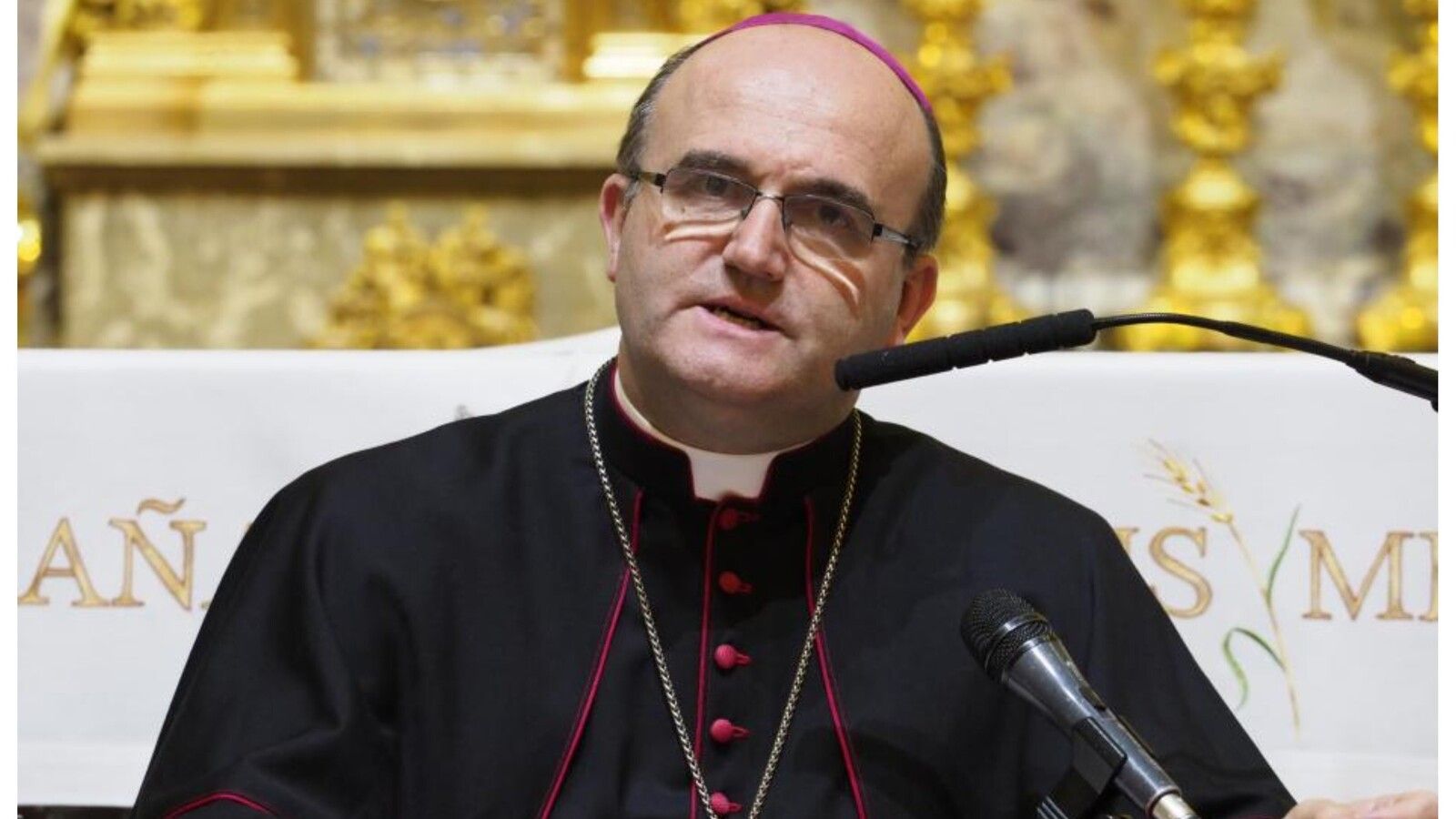 El Obispo Munilla responde al Defensor del Pueblo cuestionando su encuesta sobre abusos en la Iglesia