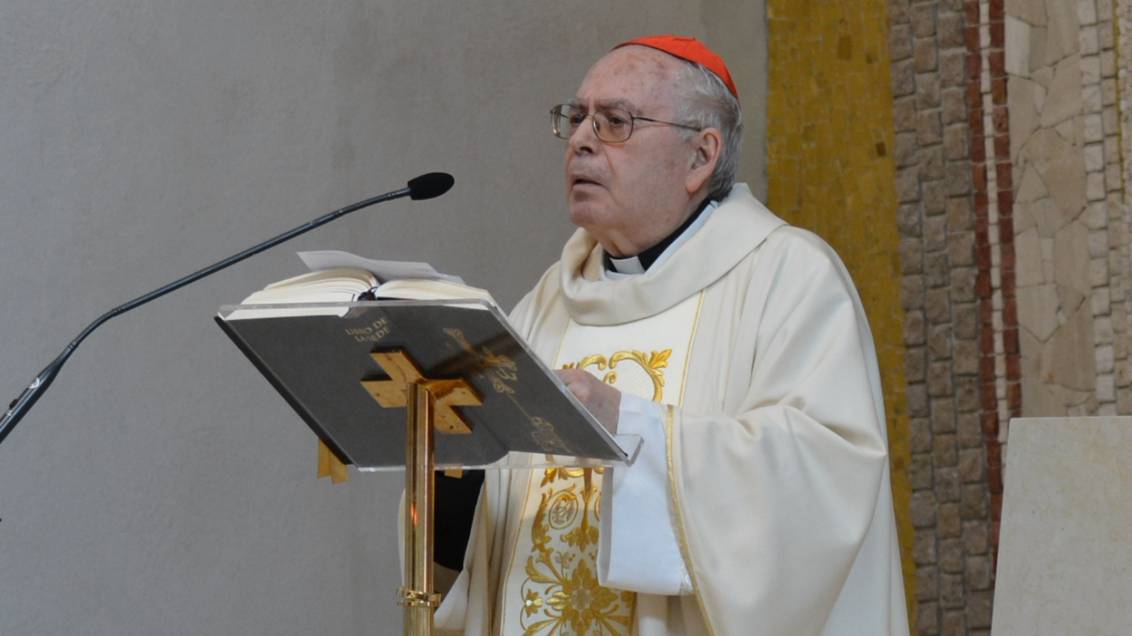 El cardenal Aquilino Bocos recuerda que el papa León XIV sucede a Pedro
