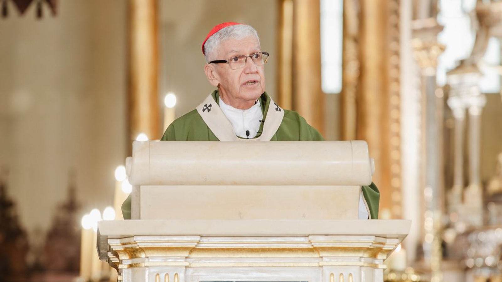 El cardenal Castillo se refiere al Papa León XIV como &quot;un lindo cachorrito&quot;