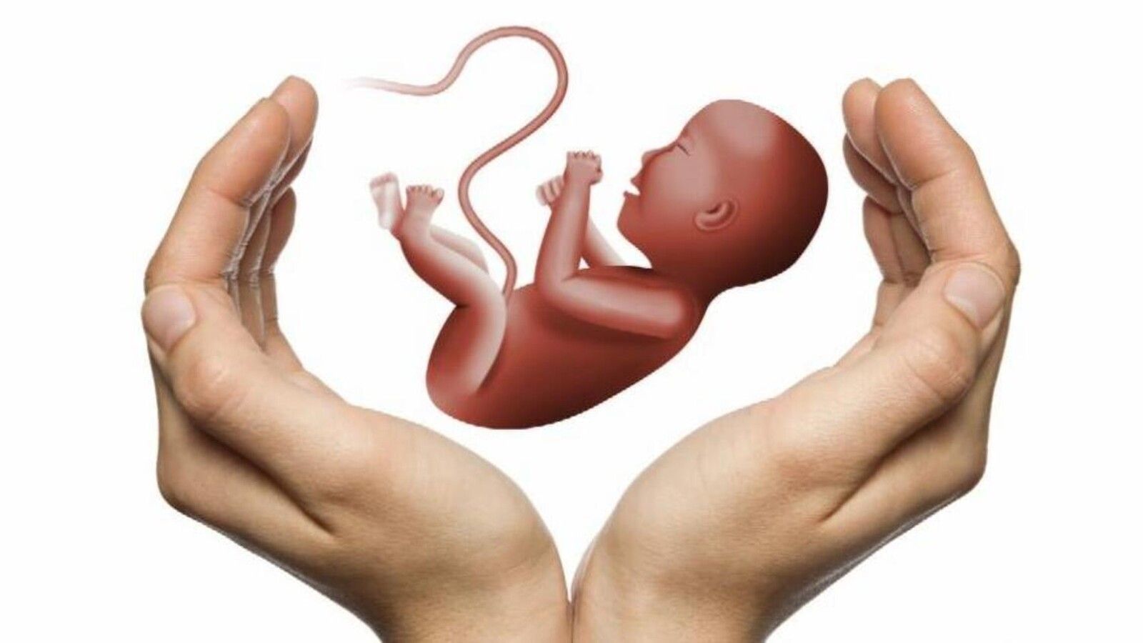 Los médicos españoles llevan a los tribunales el registro de objetores al aborto por vulnerar derechos fundamentales