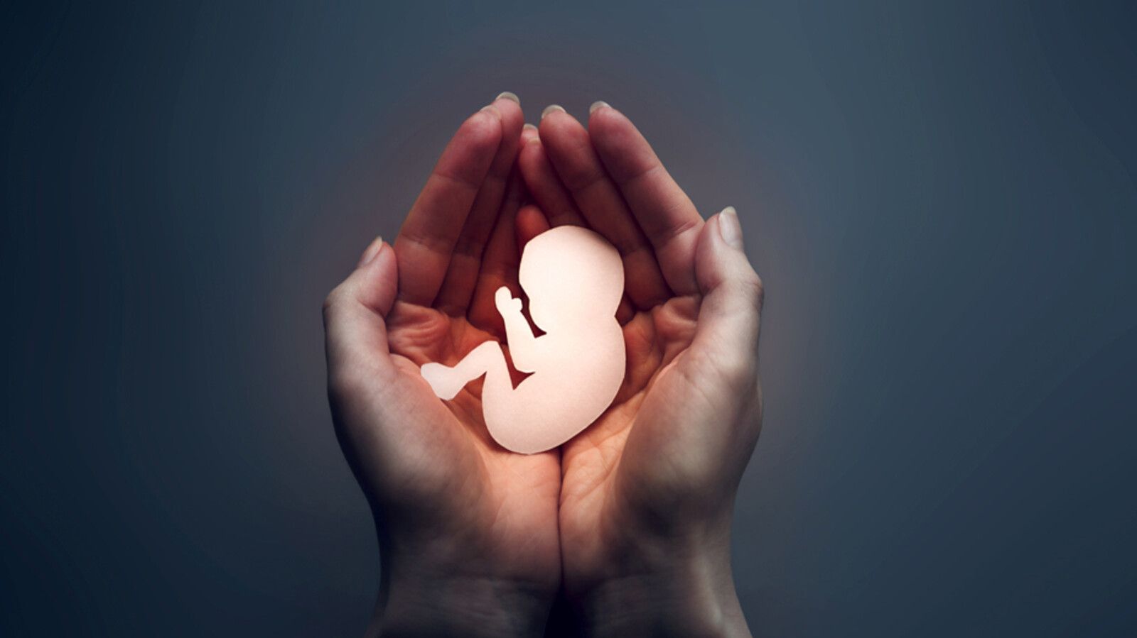 El número de abortos en EE. UU. disminuye un 11 % entre 2017 y 2023, según un informe del Instituto Guttmacher