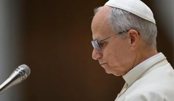 el-papa-leon-xiv-pide-perdon-a-david-ryan-por-abusos-en-colegios-catolicos-irlandeses