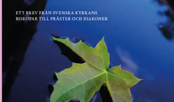 cuatro-de-cada-diez-sacerdotes-suecos-apoyan-la-eutanasia-pese-a-rechazo-eclesiastico