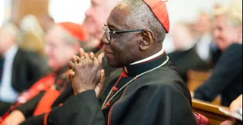 sarah-advierte-del-riesgo-de-ruptura-en-la-iglesia-por-las-ordenaciones-sin-mandato-pontificio