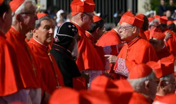 mas-del-65-de-los-cardenales-carece-de-conocimientos-de-latin-segun-investigacion