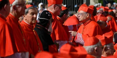 mas-del-65-de-los-cardenales-carece-de-conocimientos-de-latin-segun-investigacion