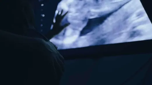 argentina-se-adhiere-al-consenso-de-ginebra-en-defensa-de-la-vida-y-contra-el-aborto