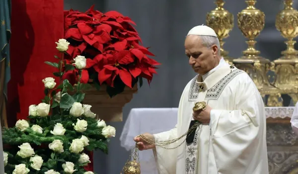 el-papa-leon-xiv-resalta-la-musica-sacra-como-clave-en-la-liturgia-durante-su-audiencia-general