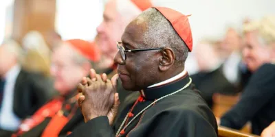 el-biografo-del-papa-francisco-critica-al-cardenal-sarah-por-su-lenguaje-contra-el-papado