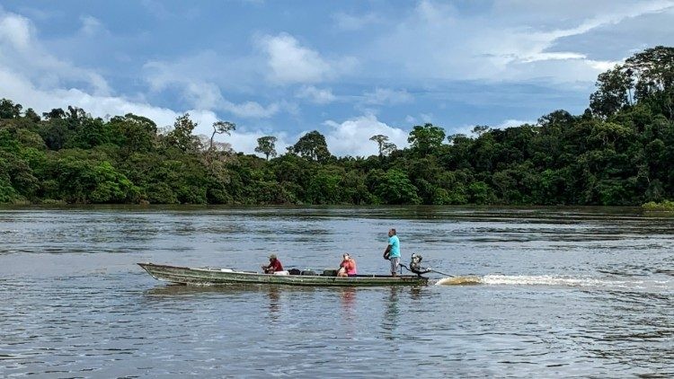 El Papa Francisco insta a la Iglesia brasileña a proteger la naturaleza en vísperas de la cumbre Cop30
