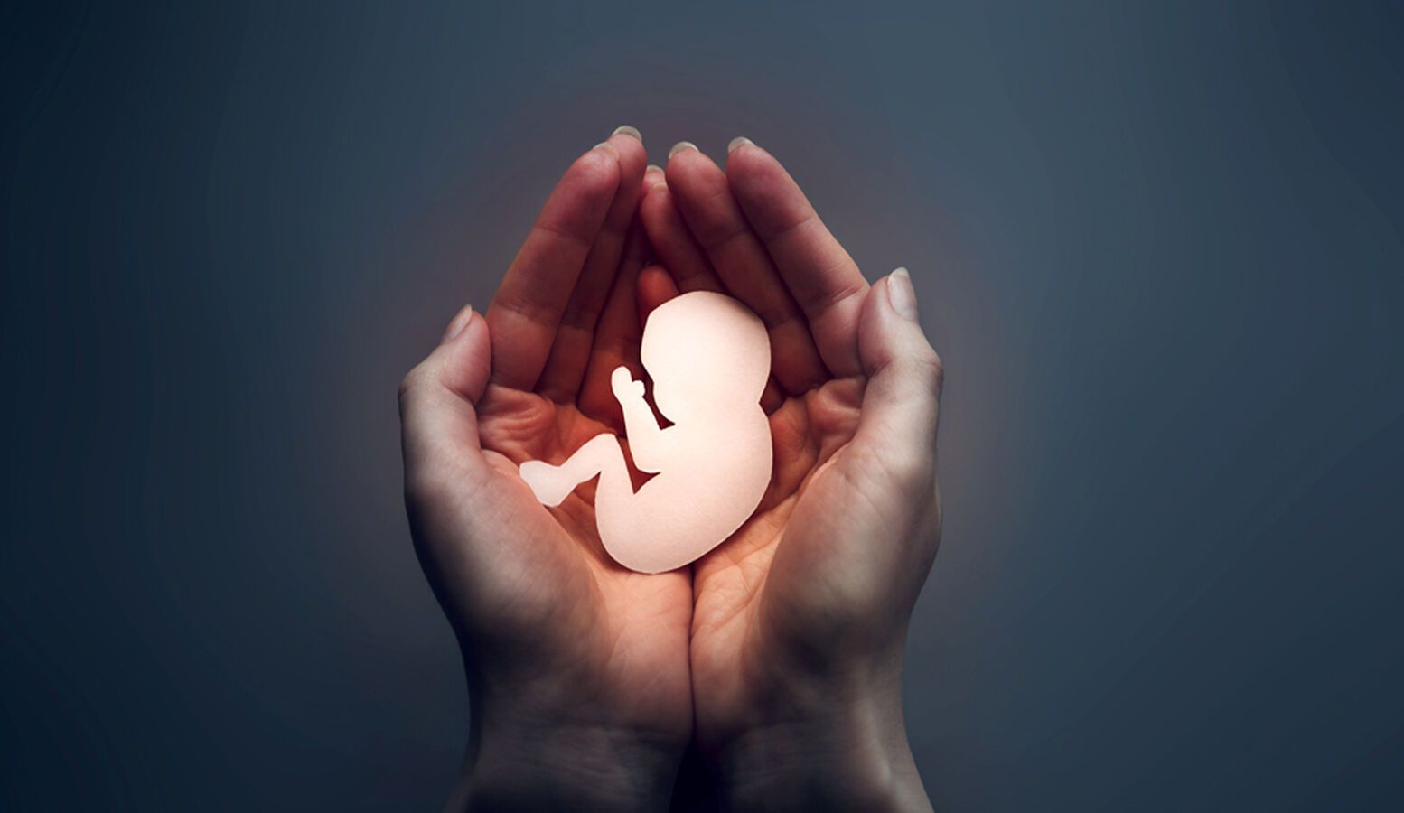 Tras casi diez años, Nueva York renuncia a imponer el aborto a organizaciones religiosas