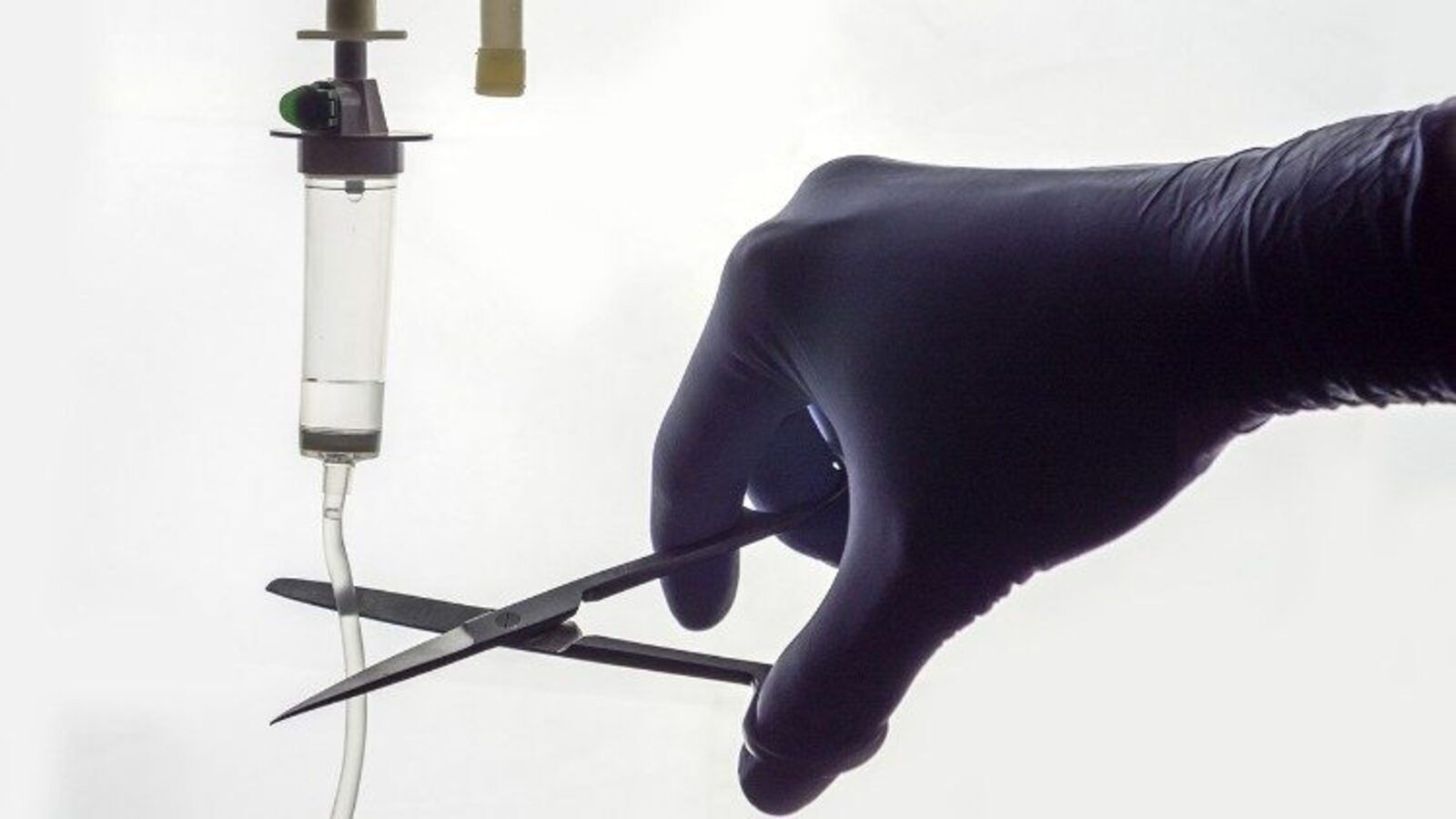 Un estudio plantea que la conciencia podría persistir tras la muerte clínica