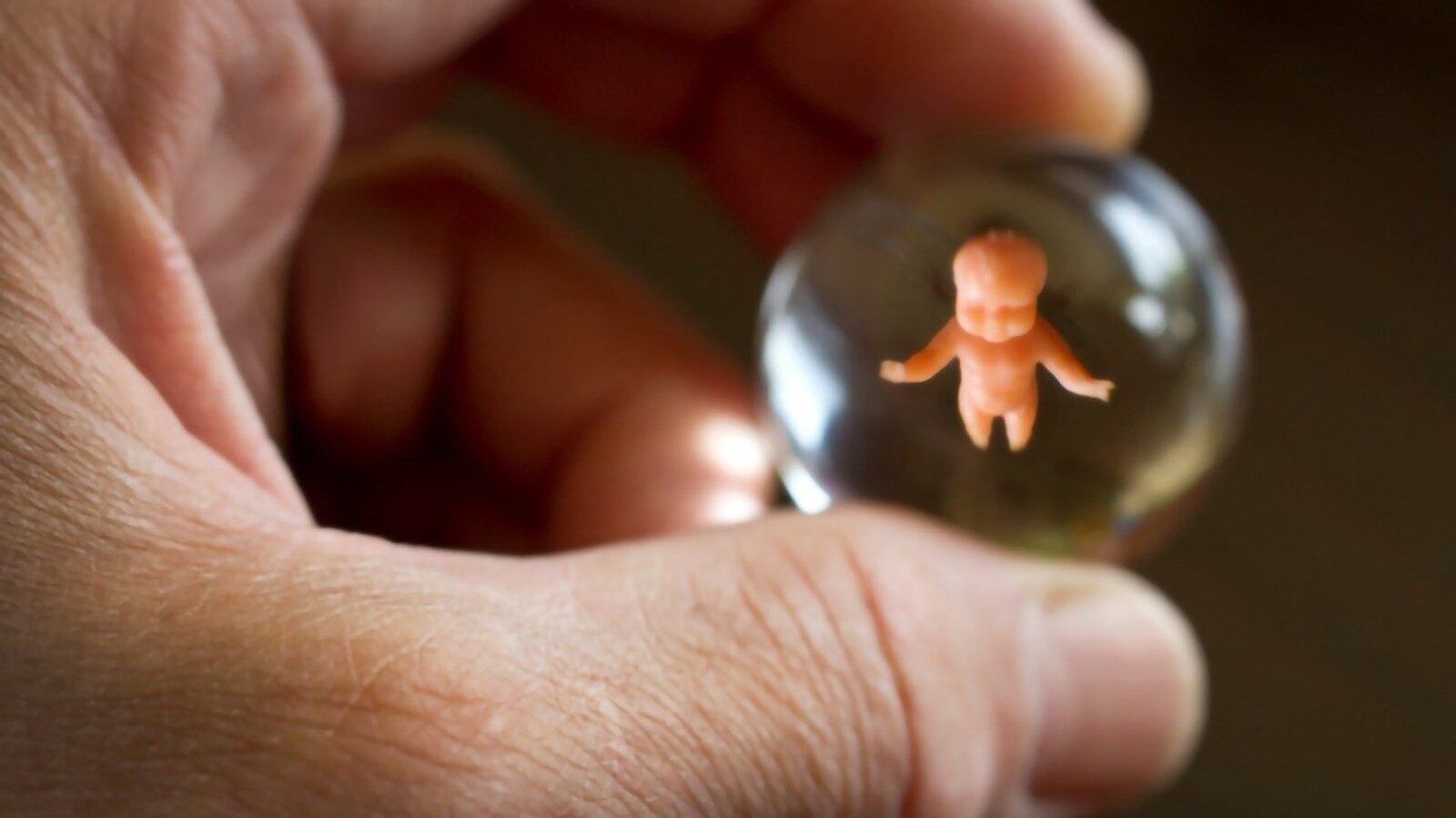 Un eurodiputado advierte que la UE promueve la píldora abortiva como 