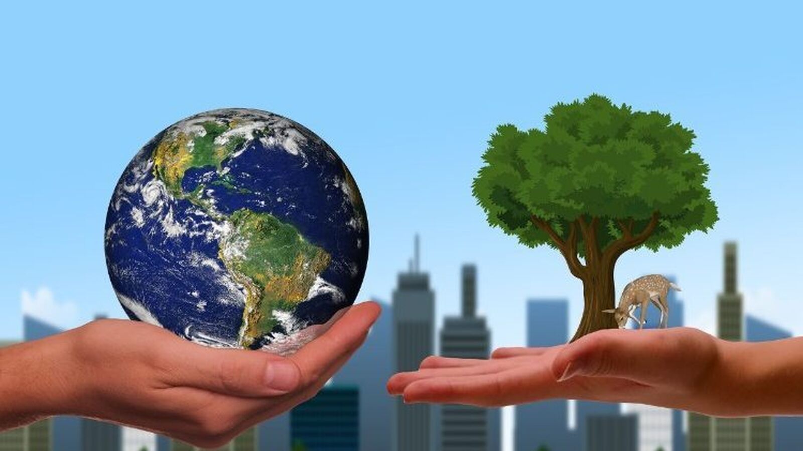 Polémica por el nuevo documento del Vaticano sobre familia y ecología integral