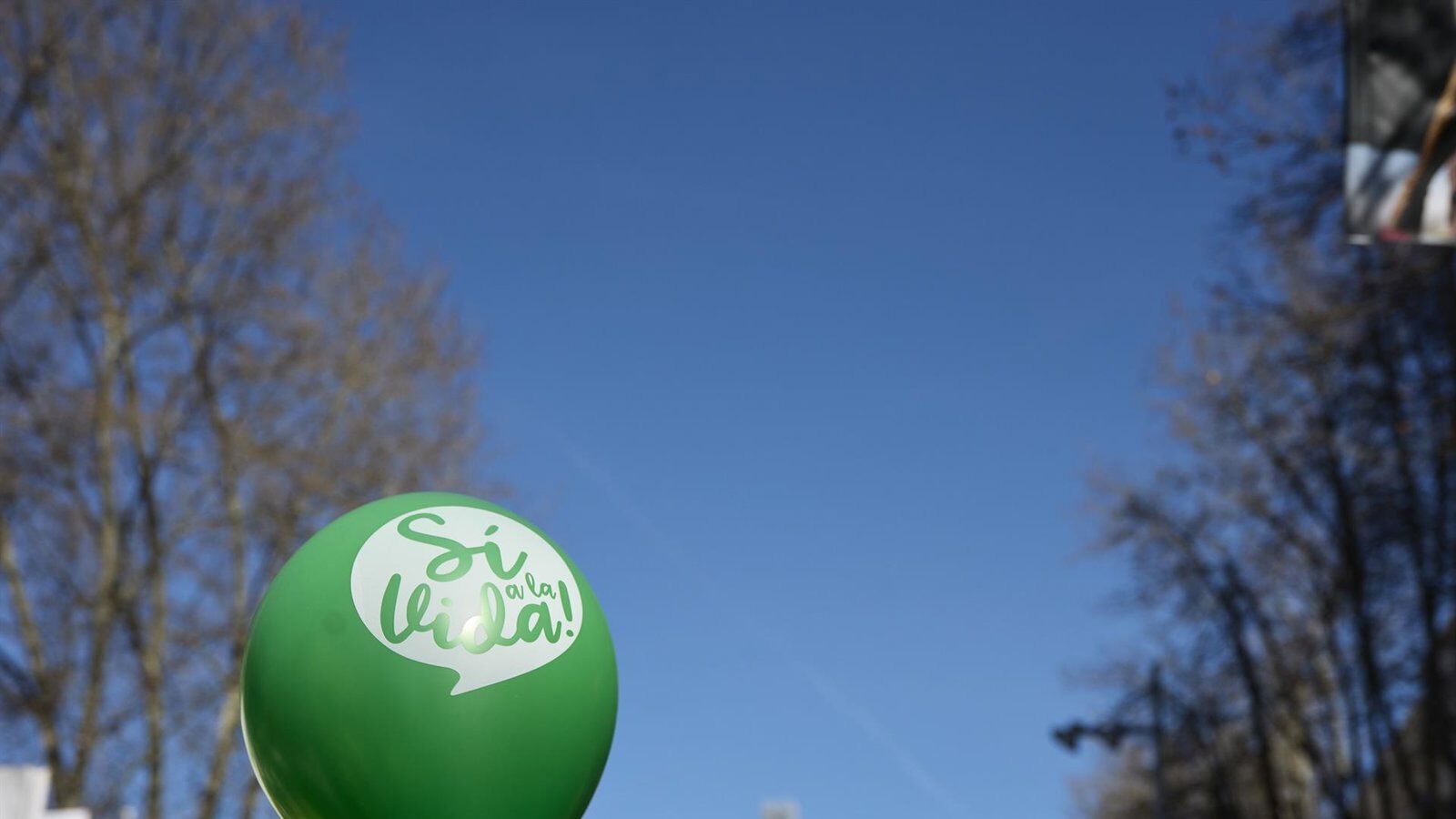 Marcha Sí a la Vida 2026 en Madrid: fecha, recorrido y apoyo de más de 500 entidades