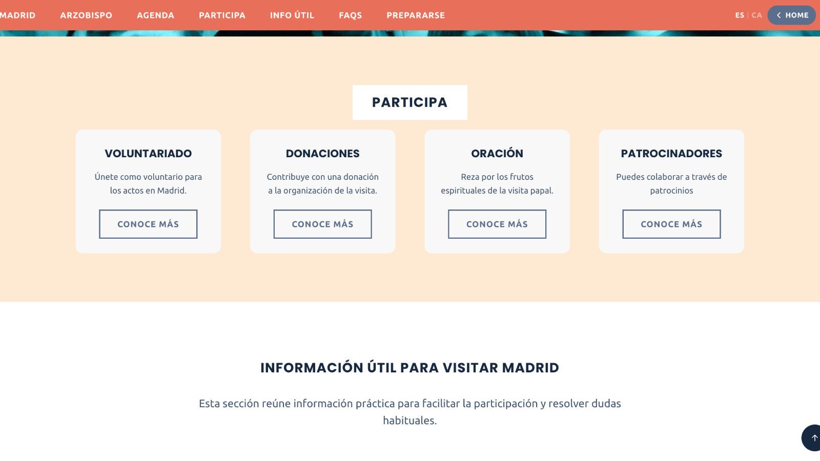 Caos entre los preseleccionados para dirigir a los voluntarios del Papa