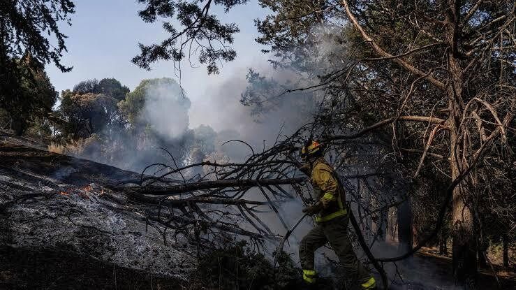 El obispo de Alcalá de Henares urge perseverar en caridad tras los incendios