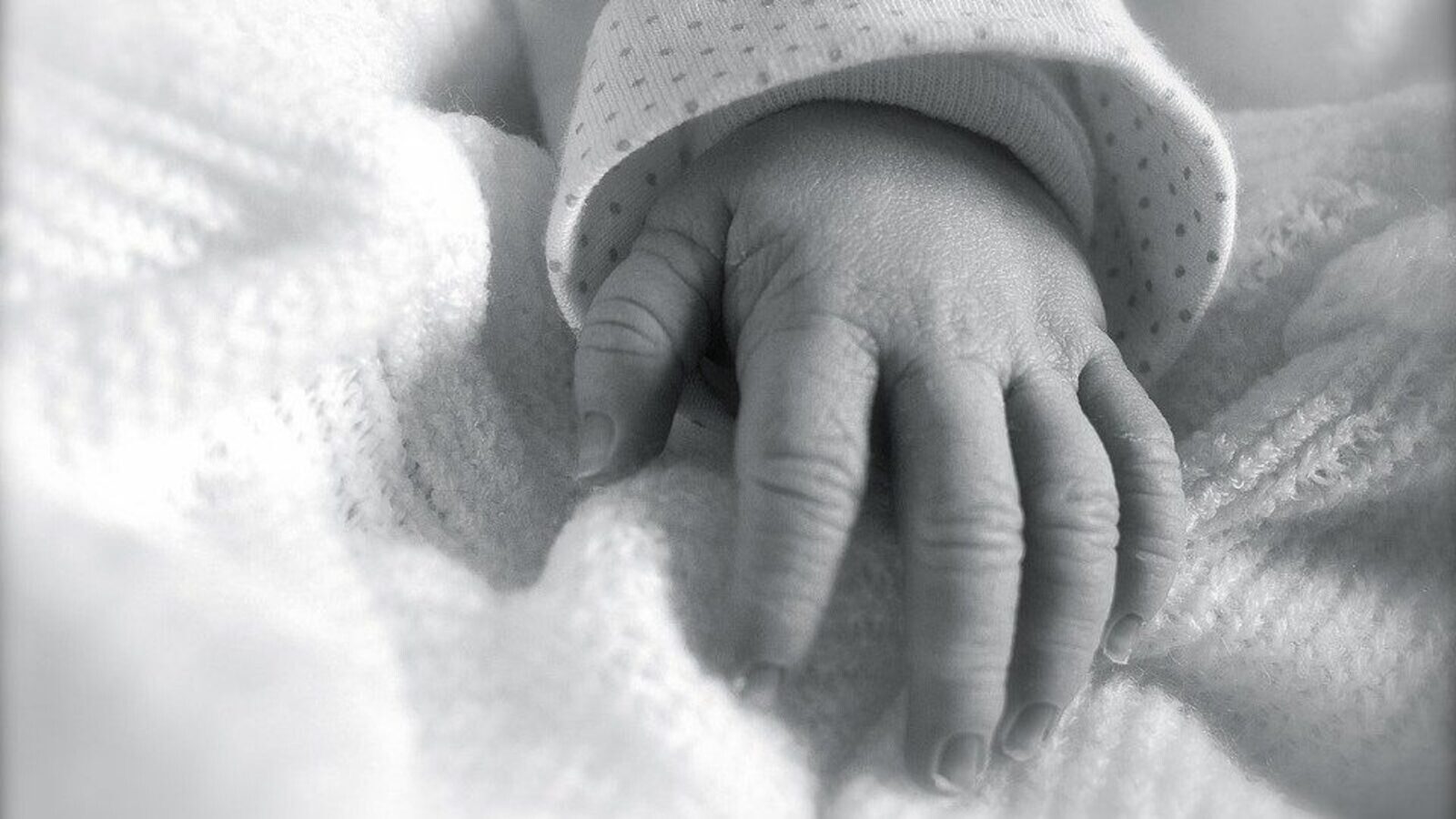Argüello rechaza el plan de Sanidad sobre el aborto