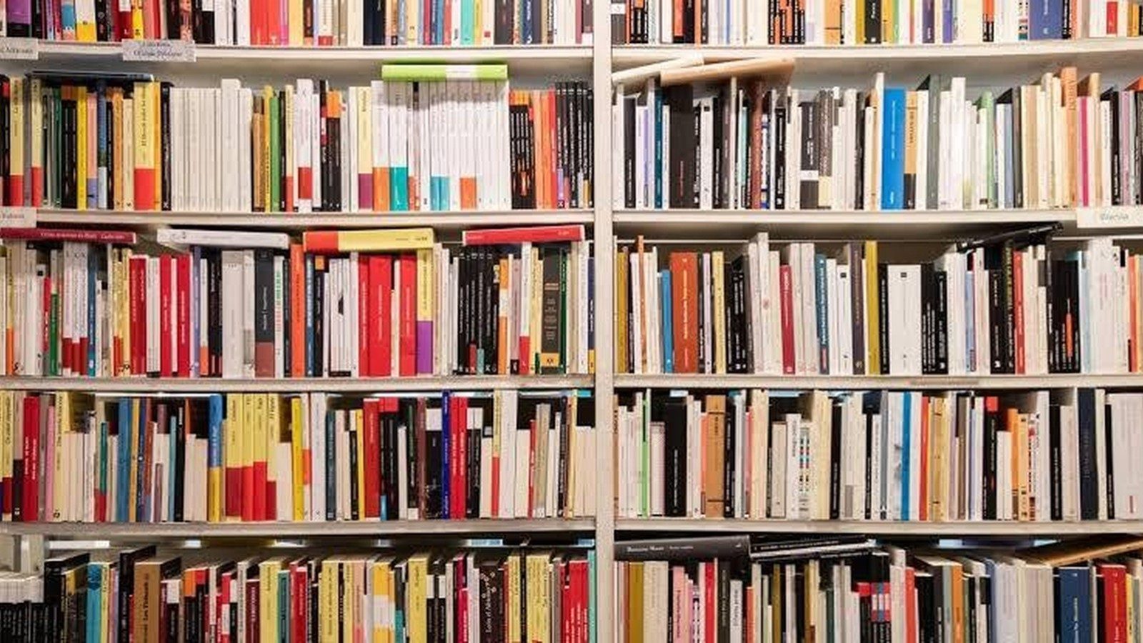 Qué leer si te interesa la literatura católica