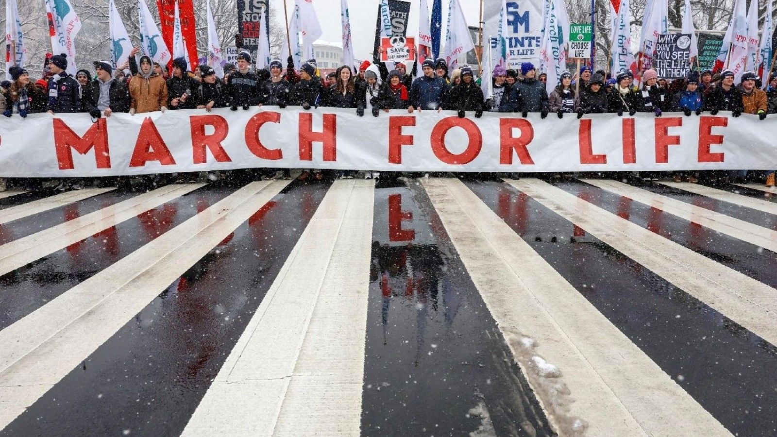 El Papa apoya la Marcha por la Vida y llama a proteger a los no nacidos