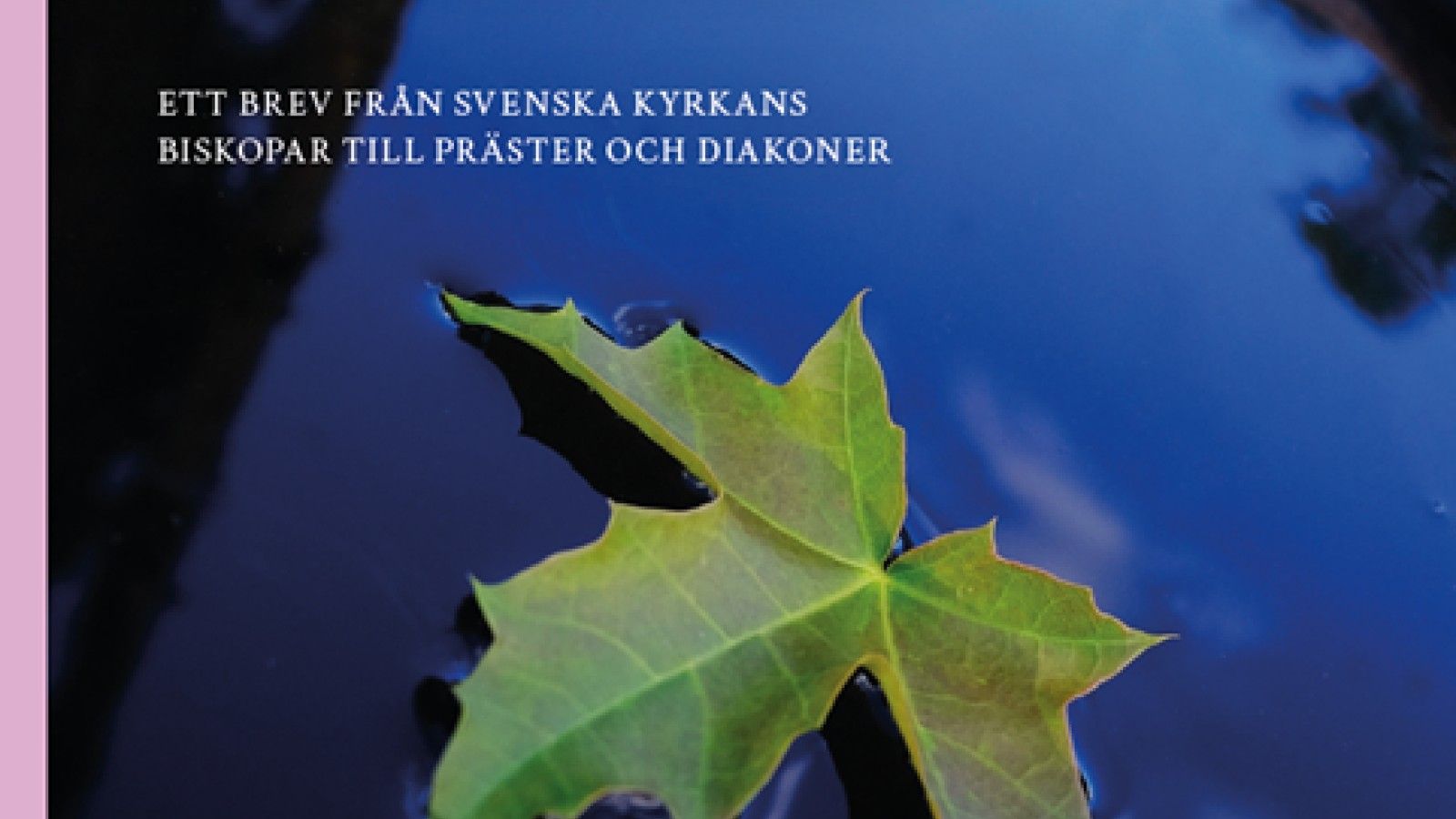 Cuatro de cada diez sacerdotes suecos respaldan la eutanasia pese a la oposición de la Iglesia