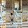 Un niño se escapa para abrazar al Papa León XIV durante una audiencia