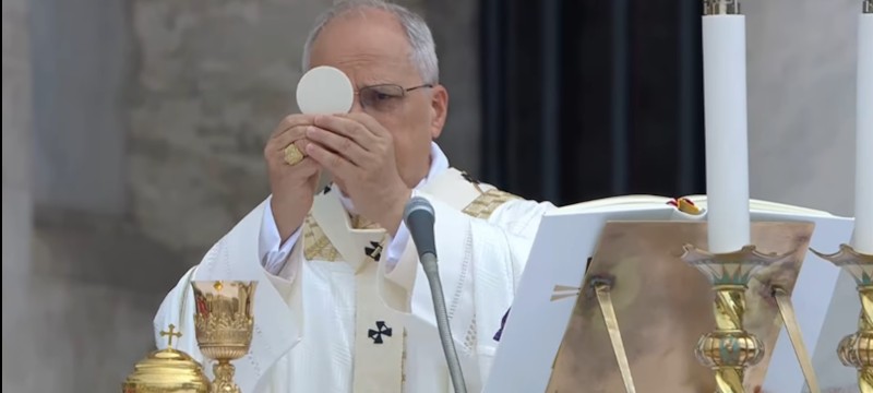 El Papa León XIV resalta el valor del Óbolo de San Pedro en su alocución