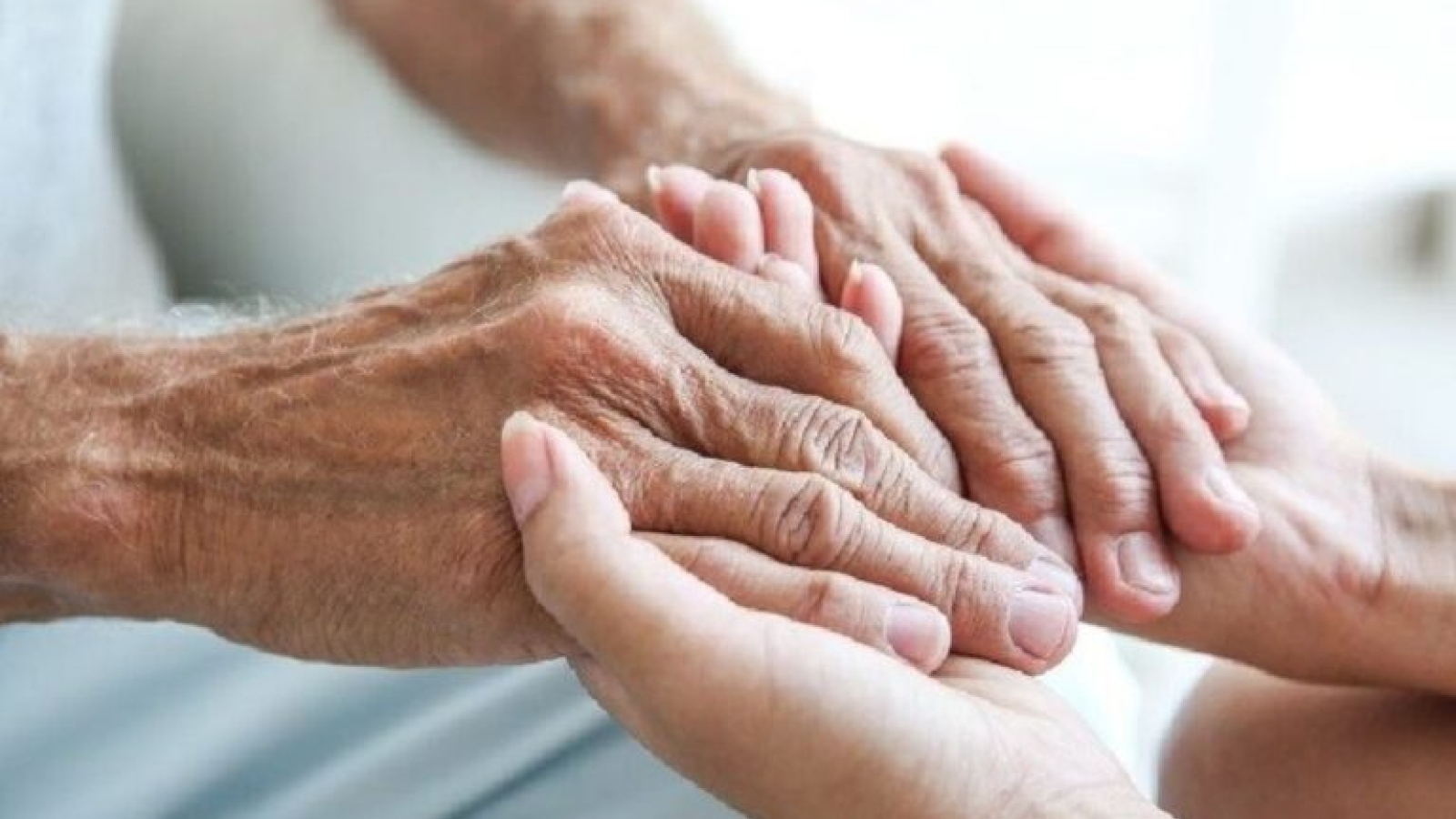 Los obispos argentinos reclaman medidas para proteger la dignidad de los ancianos

