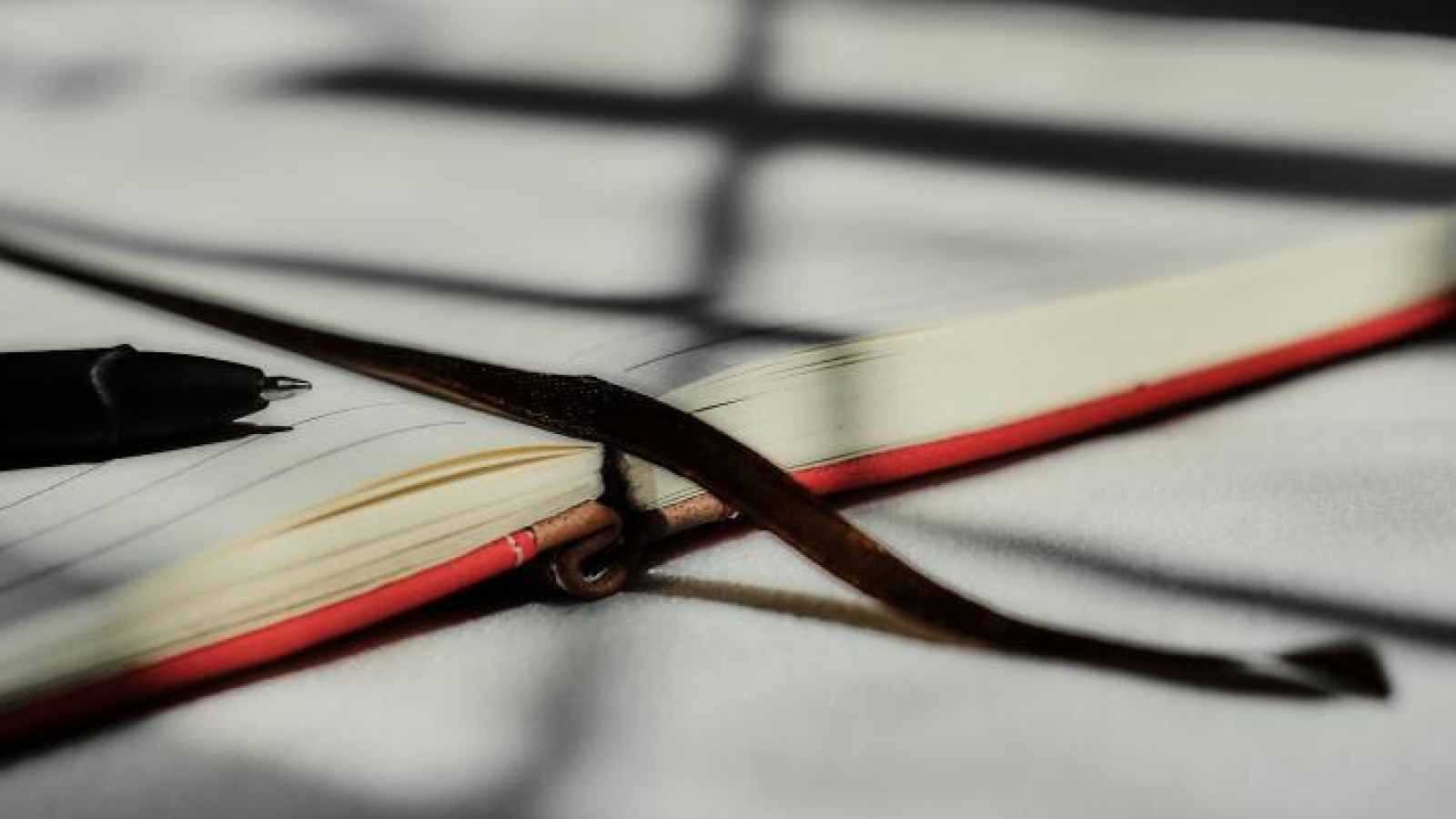 Dura intervención de la archidiócesis de Madrid a las Hijas del Amor Misericordioso: expulsión de la superiora general y prohibición de aceptar nuevas vocaciones