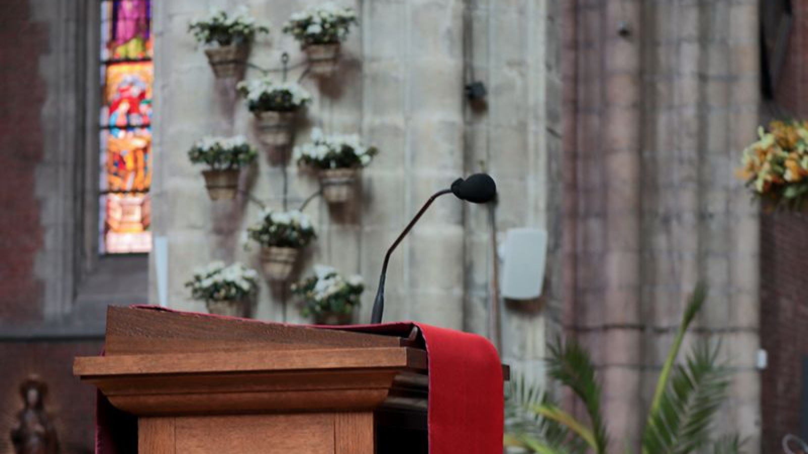 La Conferencia Episcopal Española ofrece en línea la liturgia dominical en español

