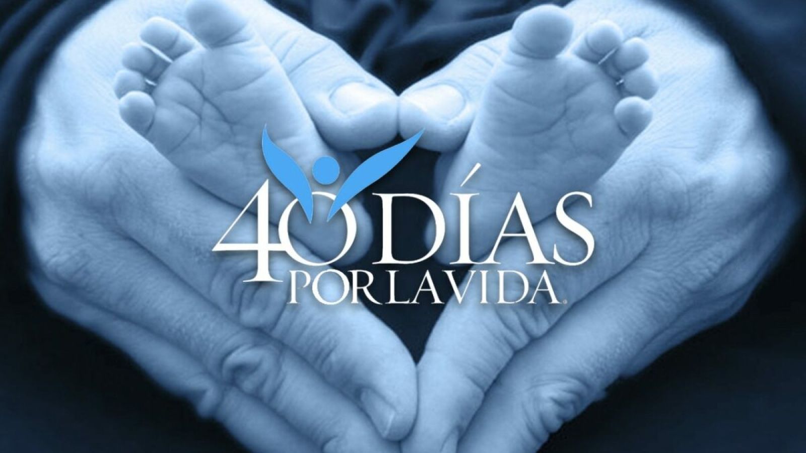 La campaña 40 Días por la Vida comenzará en Toledo y Talavera el 24 de septiembre