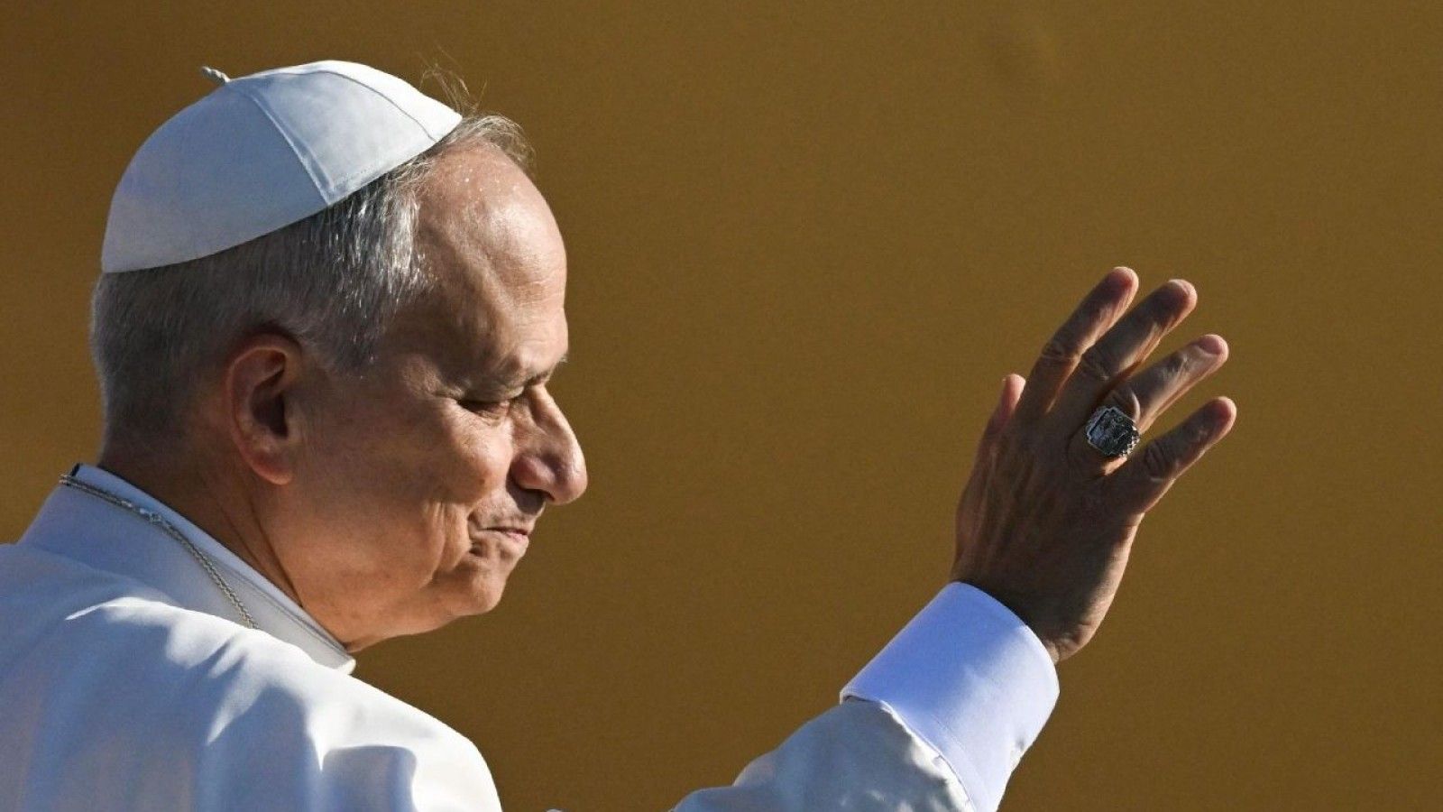 El Papa León XIV aborda desafíos globales en entrevista con Elise Ann Allen