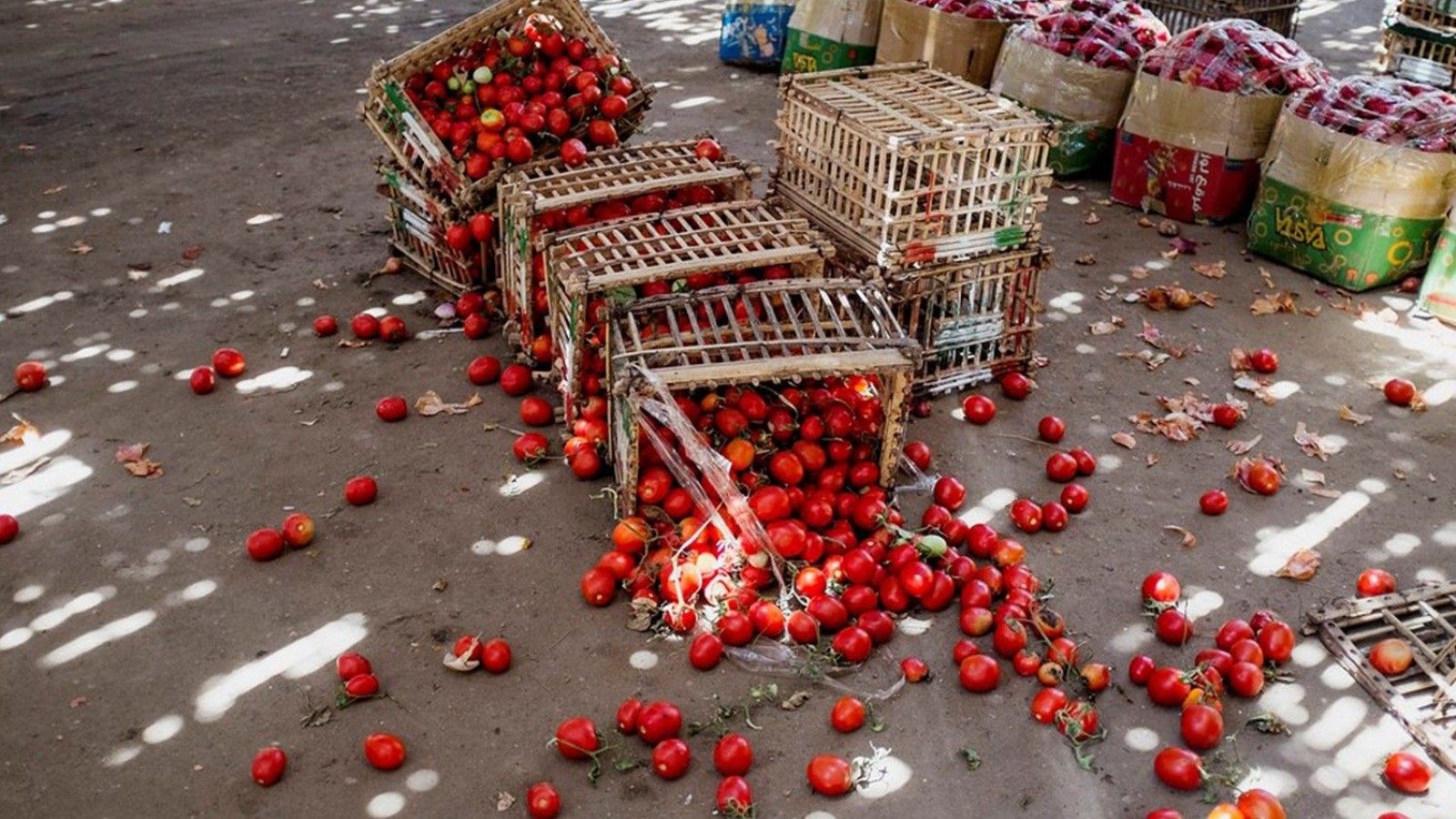 El informe del Observatorio Internacional Waste Watcher revela que 670 millones de personas sufren de hambre