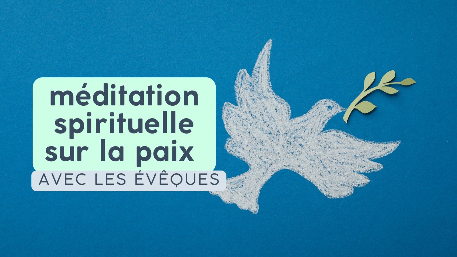 La meditación espiritual por la paz en Lourdes congrega a los obispos franceses