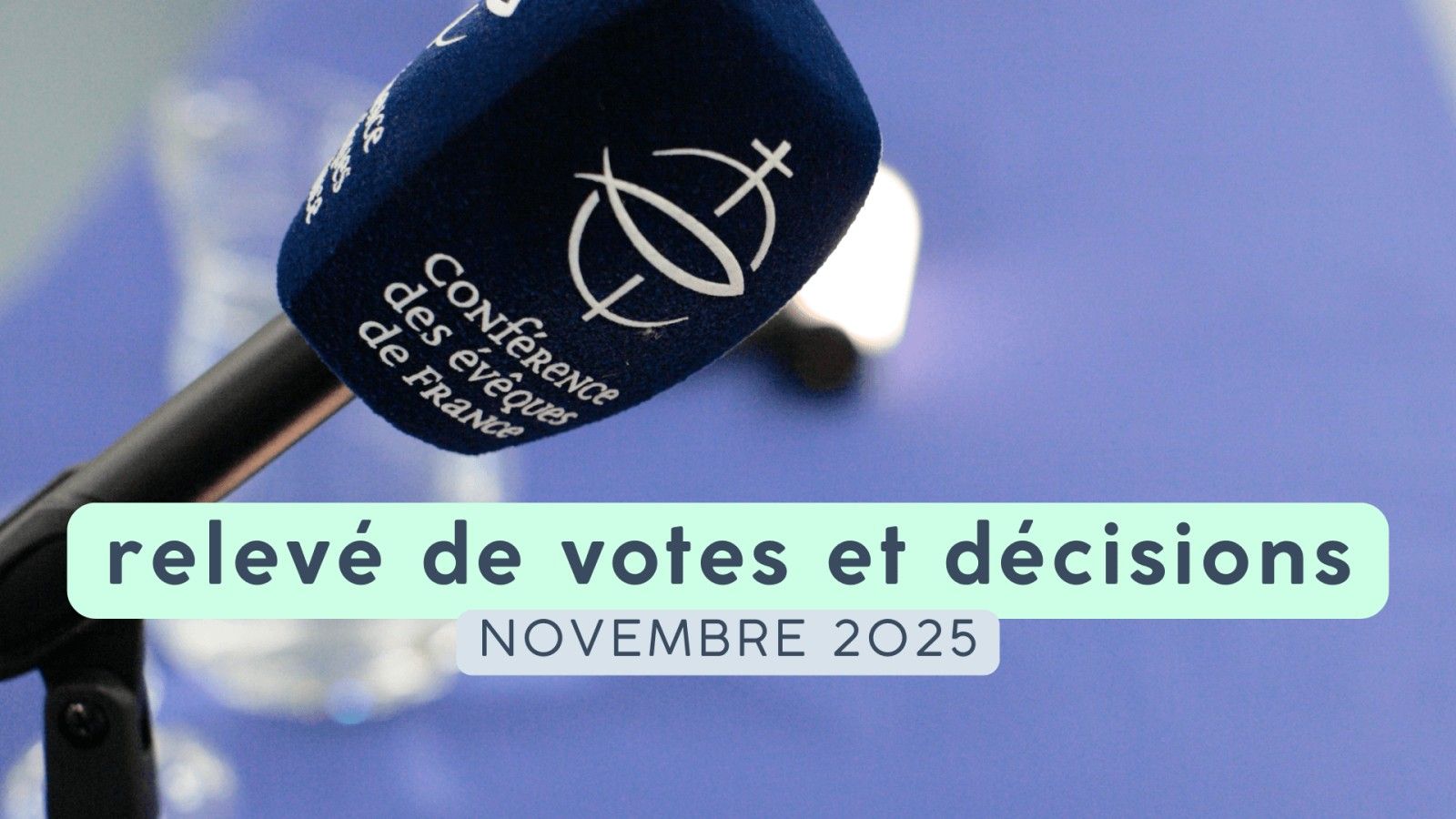 Los obispos de Francia adoptan medidas contra los abusos en su asamblea de Lourdes