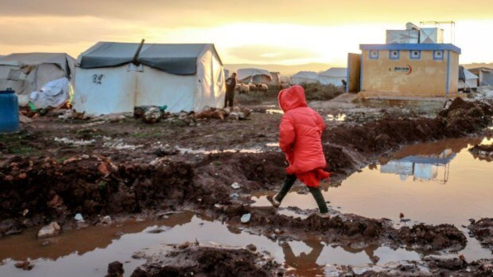 El Papa León XIV destaca la opción preferencial por los pobres en Dilexi Te