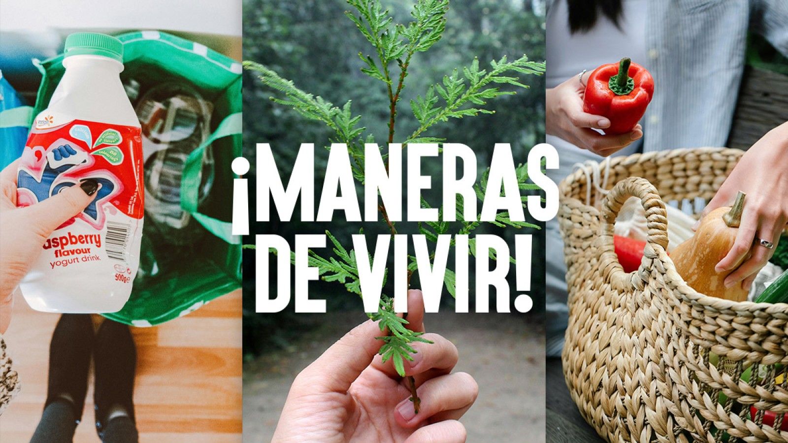 La diócesis de Vitoria presenta Maneras de Vivir para el Adviento y la Navidad