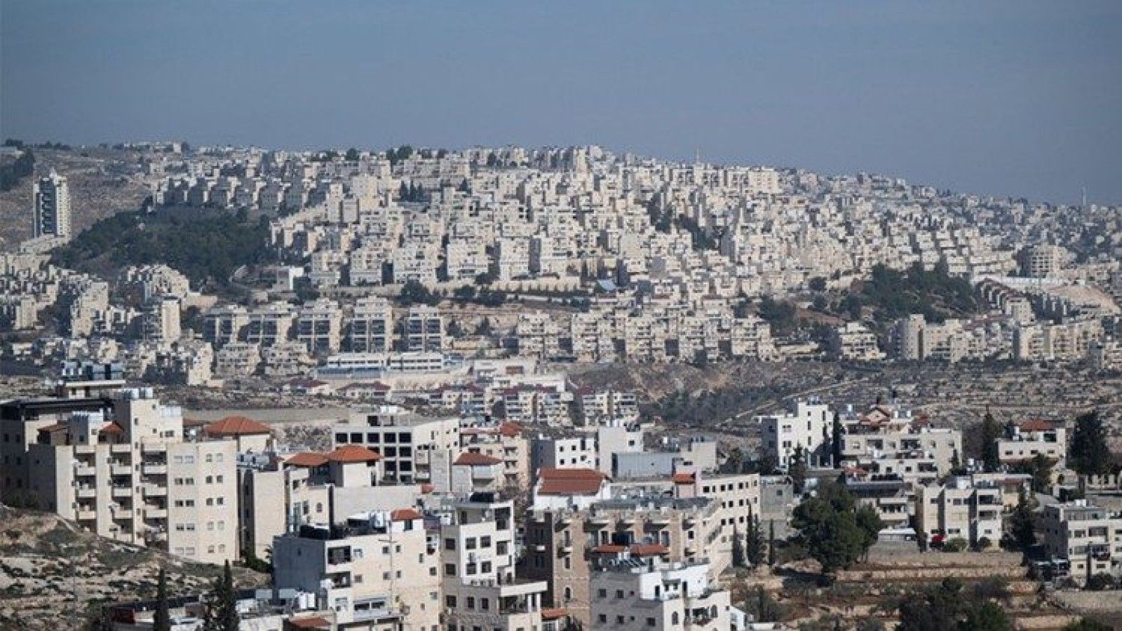El custodio de Tierra Santa invita a orar en Navidad por la paz