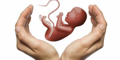 ginecologos-defienden-la-objecion-de-conciencia-frente-al-control-estatal-del-aborto