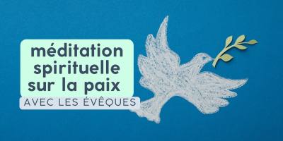 la-meditacion-espiritual-para-la-paz-en-lourdes-reune-a-obispos-franceses