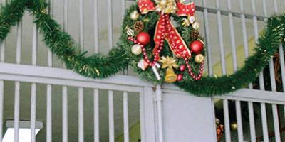 la-pastoral-penitenciaria-de-vitoria-organiza-actividades-navidenas-en-alava