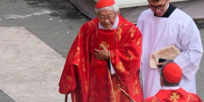 contundente-reflexion-del-cardenal-zen-dios-misericordioso-siente-un-profundo-disgusto-por-las-relaciones-homosexuales