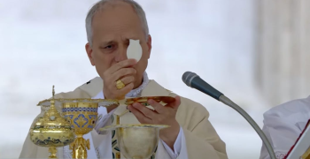 el-papa-leon-xiv-inspira-a-los-jovenes-a-la-santidad-en-tiempos-de-confusion-moral