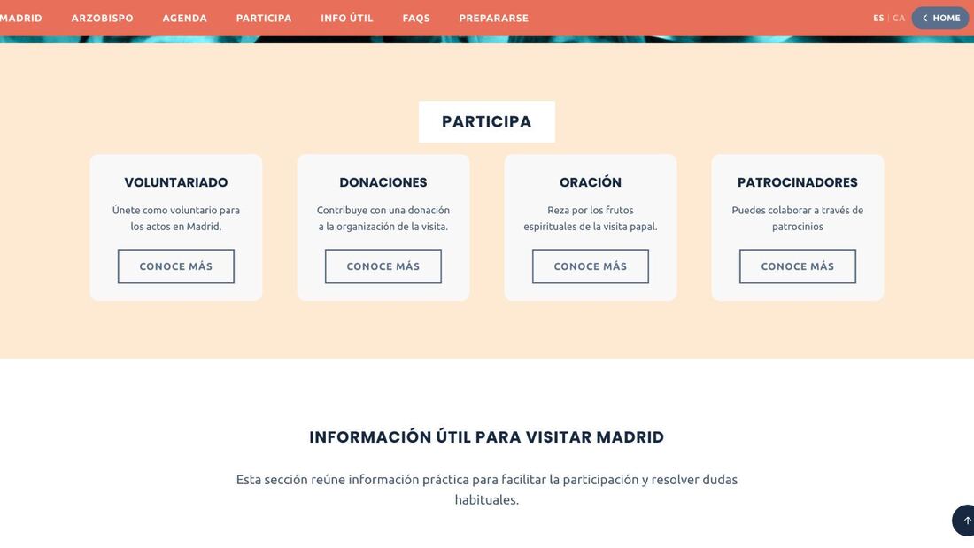 Caos entre los preseleccionados para dirigir a los voluntarios del Papa