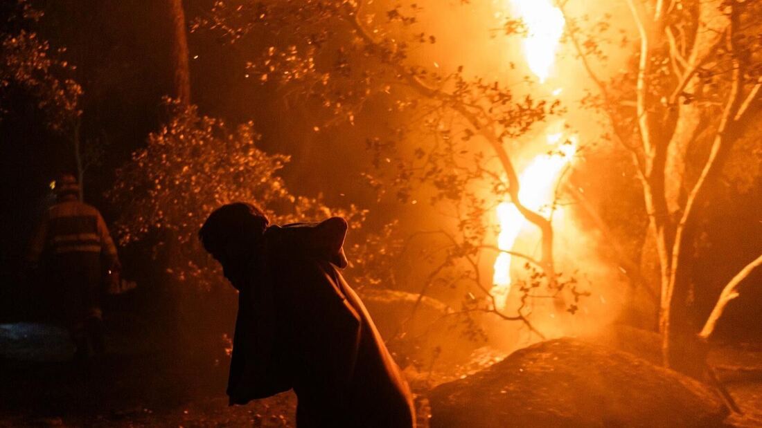 León XIV expresa solidaridad con los afectados por los incendios