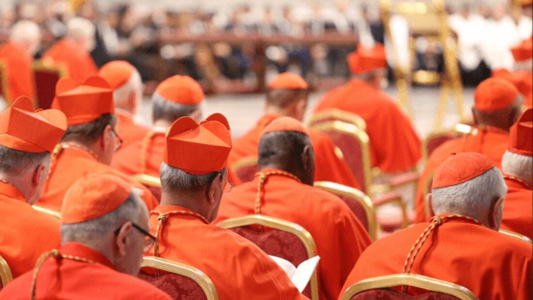 Así es el Colegio de Cardenales que gobierna y elige al Papa