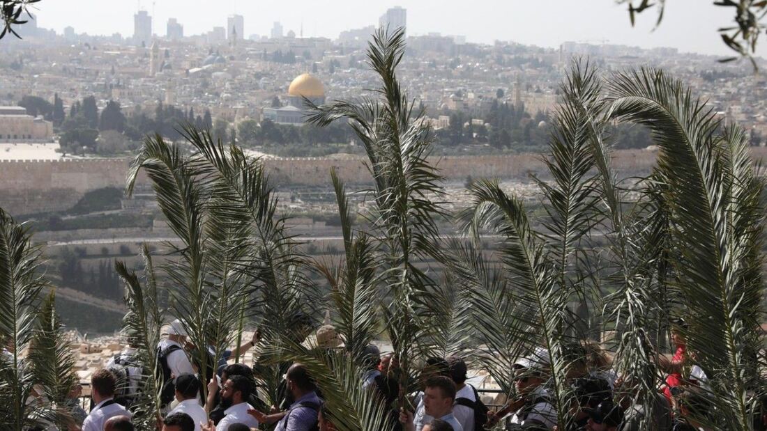 El Papa anuncia la peregrinación ecuménica a Jerusalén en 2033