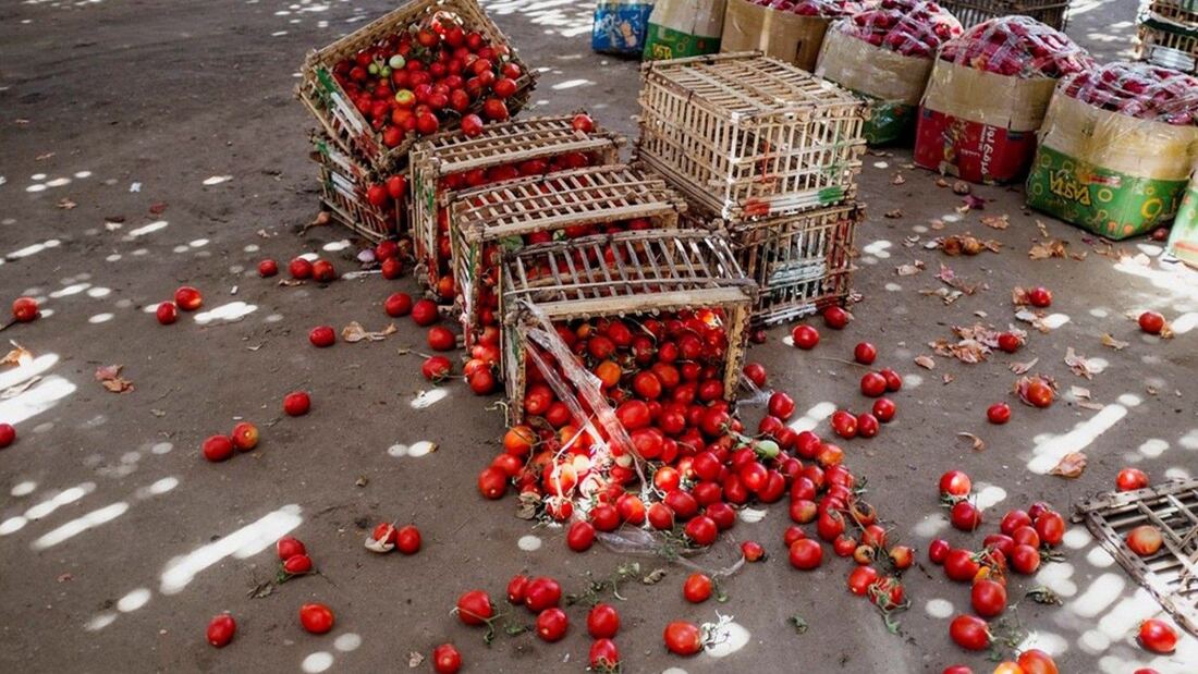 El informe del Observatorio Internacional Waste Watcher revela que 670 millones de personas sufren hambre