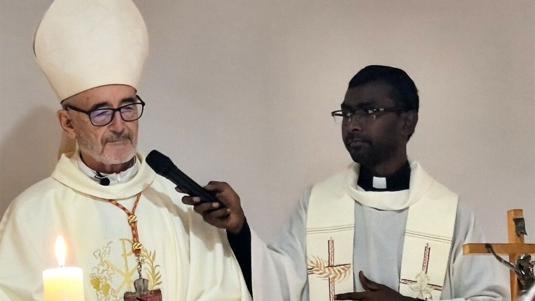 El cardenal Czerny resalta el compromiso de la Iglesia con la dignidad humana

