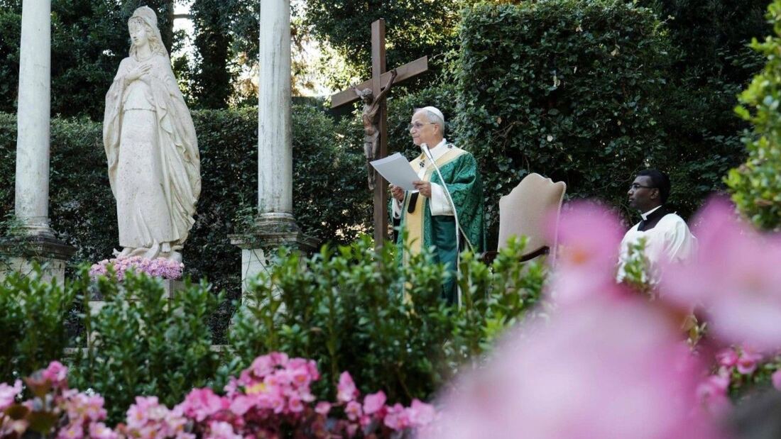 El Papa León XIV anima a los doctores agrónomos a cuidar de la Tierra

